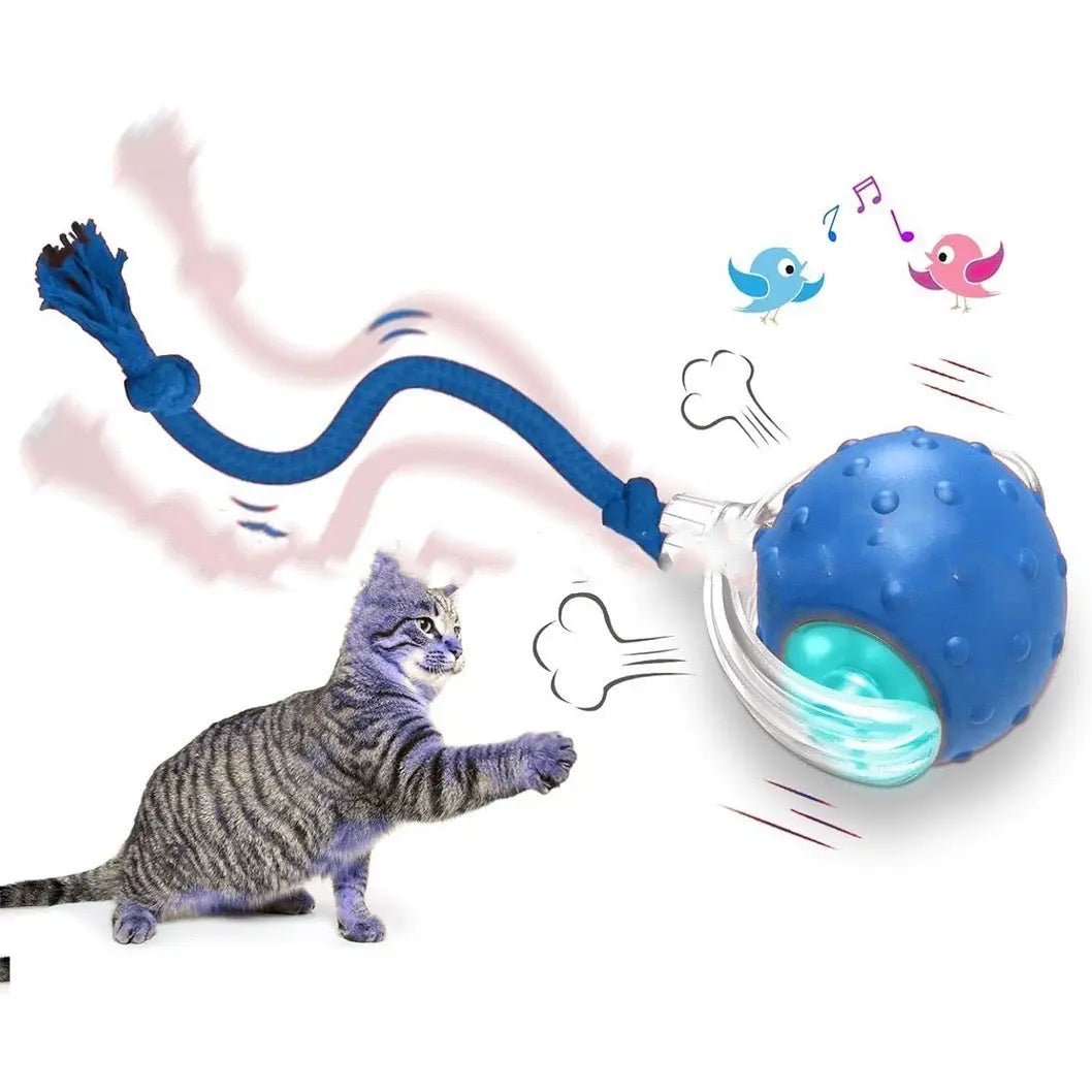 Interactive Cat Toy Ball Super Drive Cat Rolling Ball My Store