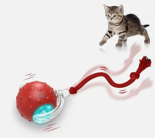 Interactive Cat Toy Ball Super Drive Cat Rolling Ball