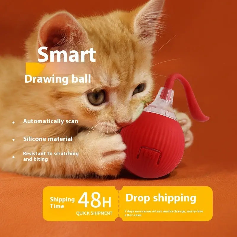 Interactive Cat Toy Ball Super Drive Cat Rolling Ball My Store